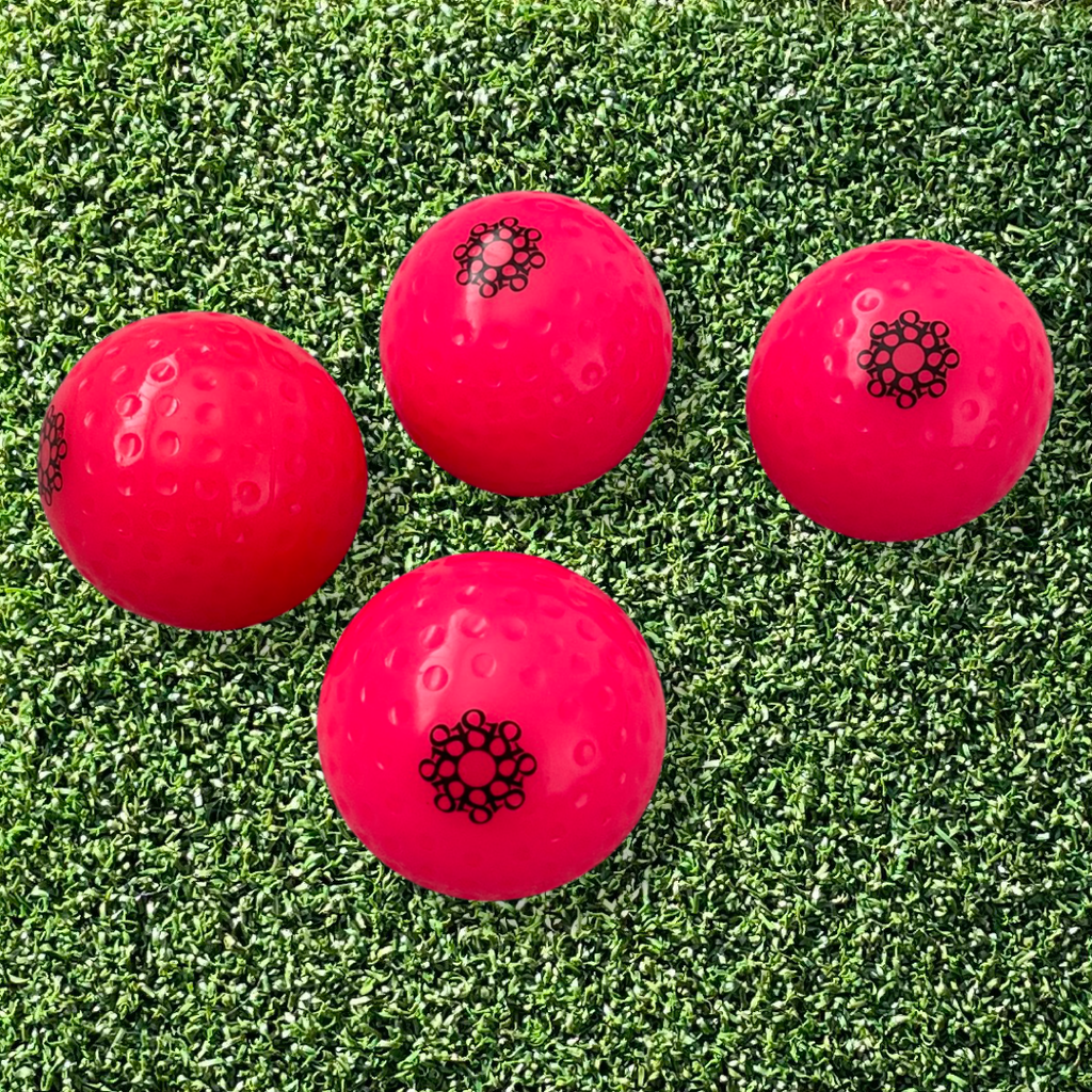 Eighteen branded match quality hockey balls